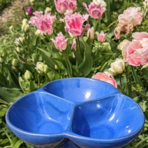 May include: A blue ceramic serving dish with three sections. The dish is shaped like a flower and has a glossy finish.