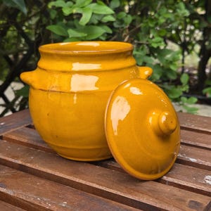 May include: A yellow ceramic pot with a lid, placed on a wooden surface. The pot is rounded with two small handles and a lid with a knob. Green foliage forms the background.