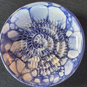 May include: A circular ceramic plate with a spiral pattern in the centre. The plate has a blue and white colour scheme and a glossy finish. The design resembles a nautilus shell. The plate is likely used for serving food.