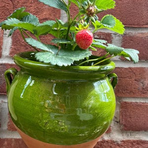 Spanish pottery handpainted wall plant pot. Colourful green hanging garden pot