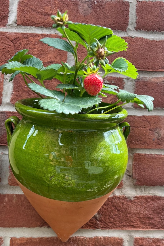 good potting soil for succulents Cactus and Succulent Potting Soil – Midwest Hearth main image 1