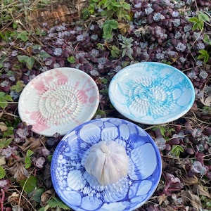 May include: Three ceramic garlic graters in pink, blue, and white, each with a spiral design. One grater holds a whole garlic bulb. The graters are set on a bed of greenery and flowers.