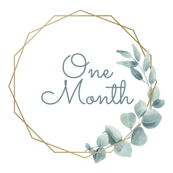 Twelve Month Baby Milestone Digital Download