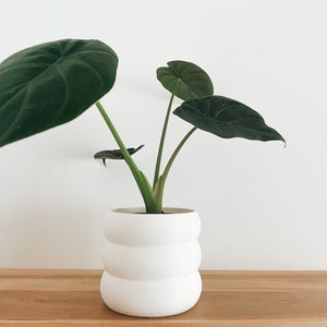 Indoor Planter - The Bubbly - 3D Printed Flower Pot for Plant Lovers