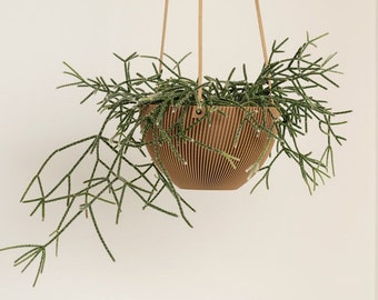 Indoor Hanging Planter - La Courbee - 3D Printed Flower Pot for Plant Lovers