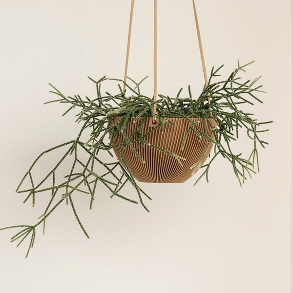 Indoor Hanging Planter - La Courbee - 3D Printed Flower Pot for Plant Lovers