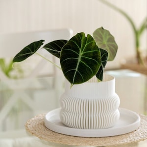 Indoor Planter - Le Beignet - 3D Printed Flower Pot for Plant Lovers
