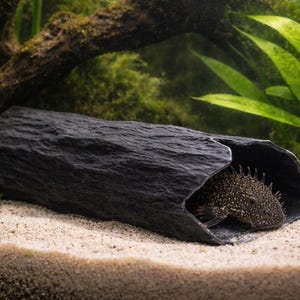 May include: A black, rock-like aquarium cave provides shelter for a brown and tan fish. The cave is nestled in a sandy substrate, with lush green plants and a wooden branch in the background. This aquarium decor creates a naturalistic environment.