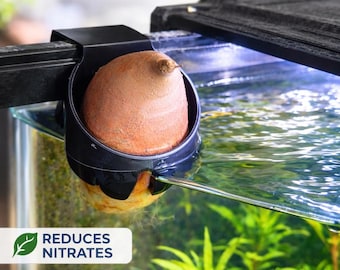 Aquarium Sweet Potato Holder | Natural Nitrate Reducer, Plant Grow Clip