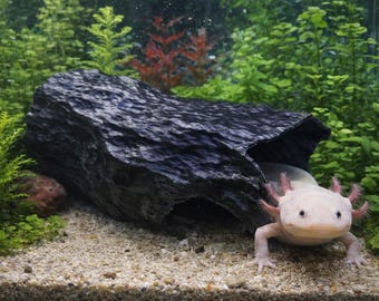Axolotl Cave Hide – Aquarium Safe PLA Shelter – Natural Wood Style Hideout – Fish Tank Decor