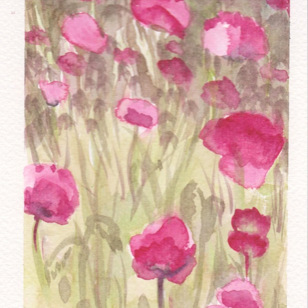 Aquarelle coquelicot