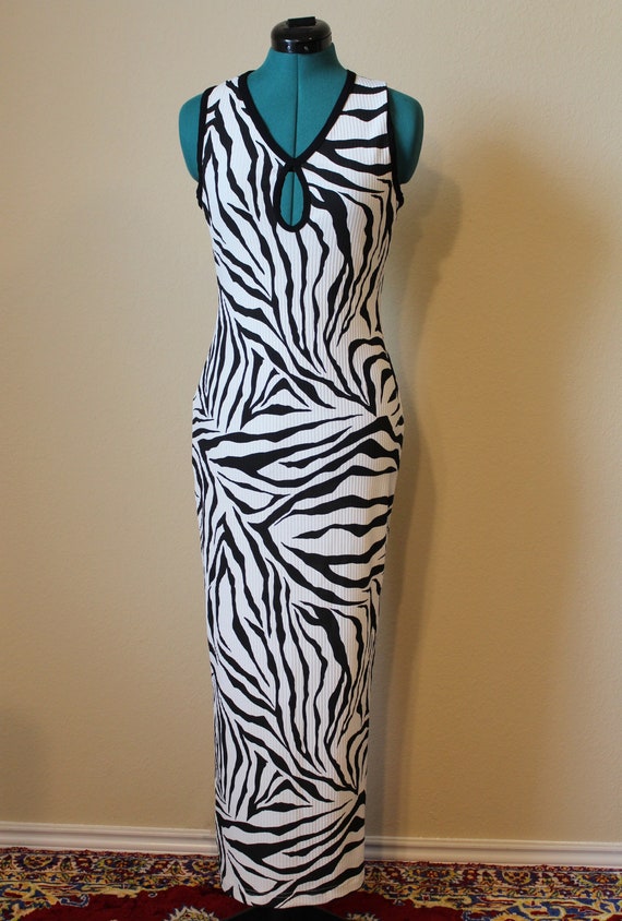 zebra knit dress Zebra-stripe Pattern Long Sleeve Knee Length A-line Knit Dress main image 1