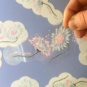May include: A clear sticker featuring two illustrated daisies with pink and blue petals, thin stems, and small star accents. The text "transvaal daisy pride" is printed in a light blue font next to the flowers on the transparent background.