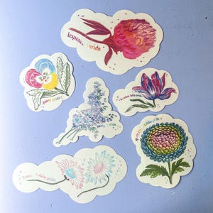 May include: Six die-cut stickers featuring botanical illustrations with text: lespedeza pride, pansy pride, nosey pride, bi-colour tulip pride, queer fallen dahlia pride, and trans-it daisy pride. Each sticker displays colourful floral art.