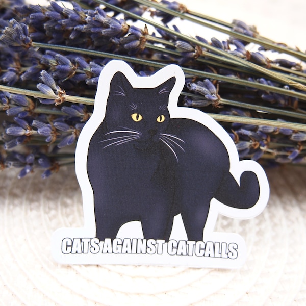 Cats against Catcalls Sticker | Katzen Aufkleber | Langlebige Sticker | Laptop Sticker | Vinyl Sticker | Deko Sticker | Feminismus |