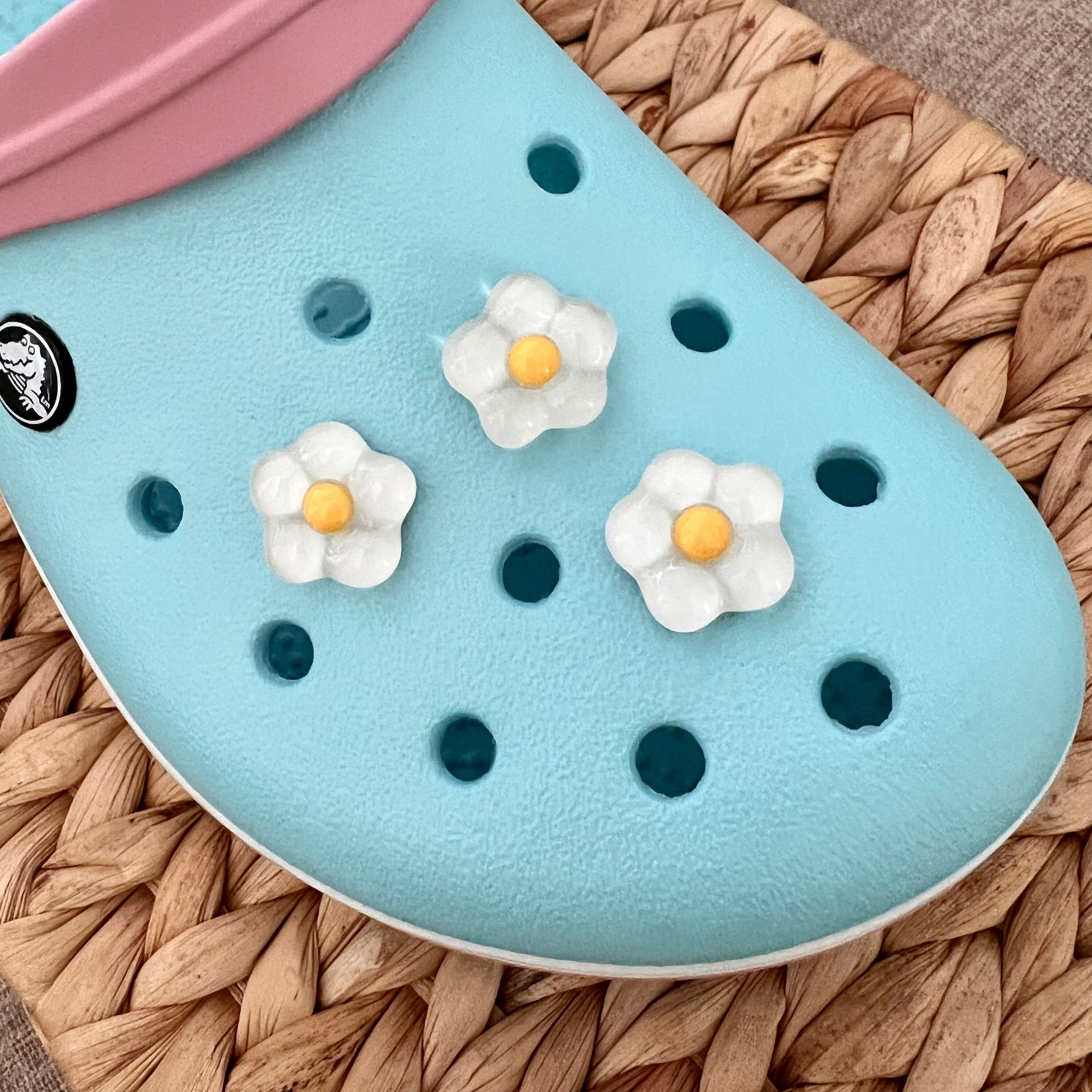 Charming Little One Baby Blue Croc Mary Bubble