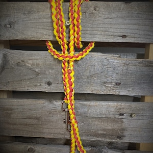 Dog Leash