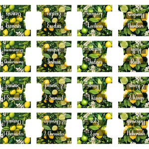 Bible Tabs Laminated Bible Tabs Floral Bible Tabs Bible Journaling Tabs Bible Accessory Bible Study Tabs Adhesive Tabs Christian Gift Women