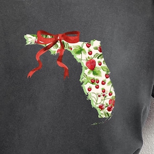Erdbeere Florida PNG Zustand PNG Zustand Kokette FL Tshirt Design Preppy Bogen Mädchen des Südens Sublimation Küsten Png Pastell Clipart Zustand Stolz Kunst