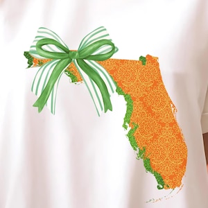 Florida College png Zustand PNG Kokette FL Tshirt Design Preppy Bow png Südliches Mädchen Sublimation Küsten Png TLH Clipart Zustand Pride png