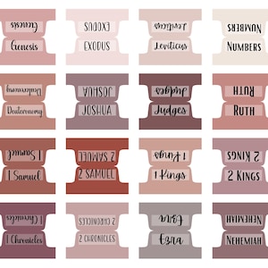 Bible Tabs Laminated Bible Tabs Earthy Neutral Bible Tab Bible Journaling Tabs Bible Accessory Bible Study Tabs Christian Gift Women Tabs