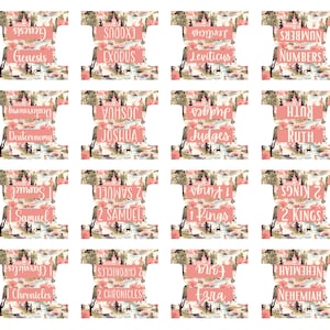 Bible Tabs Laminated Bible Tabs Toile Bible Tabs Bible Journaling Tabs Bible Accessory Bible Study Tabs Adhesive Tabs Christian Gift Women