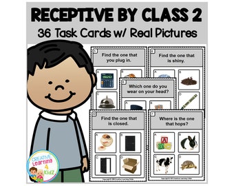 Receptive by Class 2 Task Cards ABA Special Education