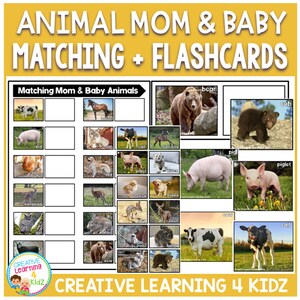 Tier Mama & Baby Matching + Lernkarten