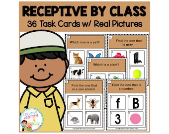 Receptive by Class Task Cards ABA Special Education Autism