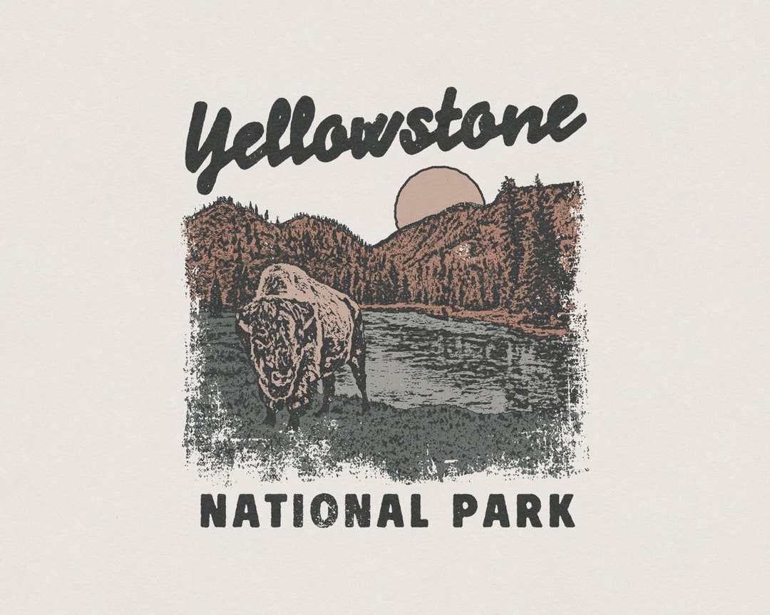 Yellowstone National Park Dutton Ranch Midwest American Buffalo Sunset ...