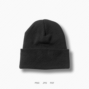 May include: A black beanie hat with a fold-over cuff.