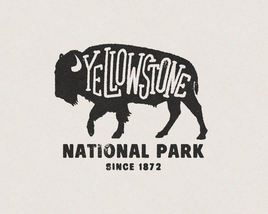 Yellowstone National Park Dutton Ranch Midwest American Buffalo Sunset ...