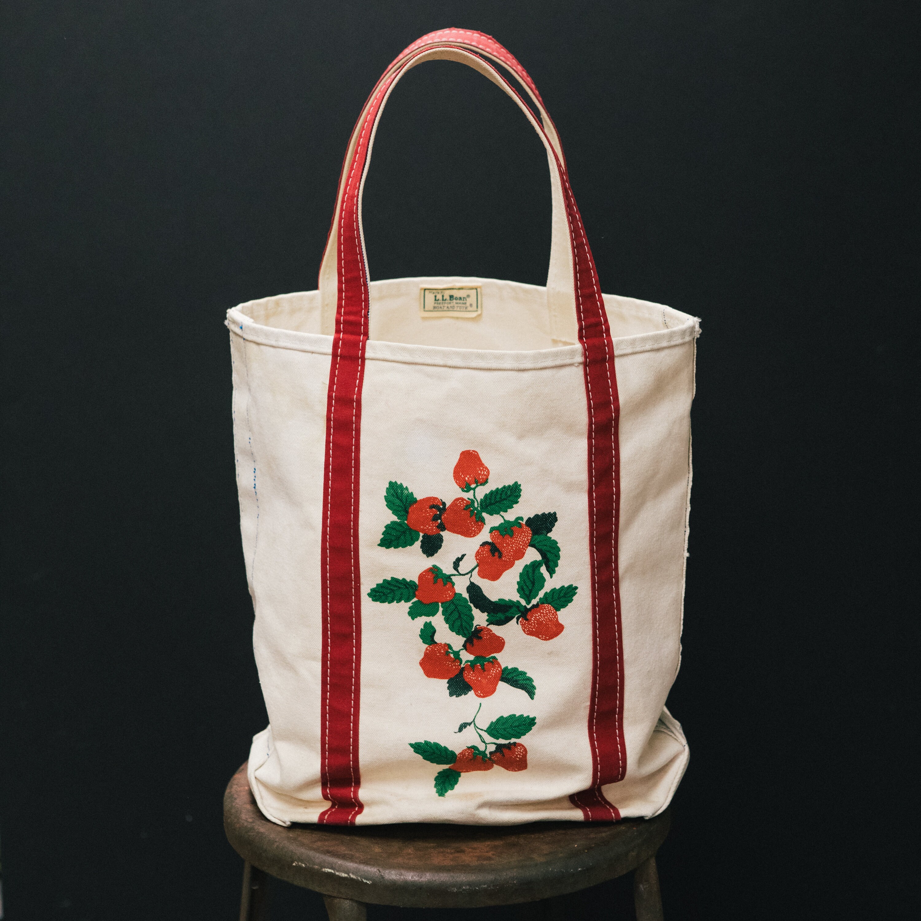 Ll Bean Ski Bag for sale Only 4 left at 70