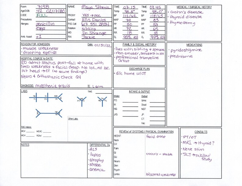 Printable Nurse Brain Sheet Clinical Ataglance Medsurg Nursing