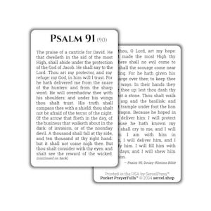 Salmo 91: Tarjetas Sagradas de Bolsillo PrayerFulls™ / Tarjetas Sagradas de Bolsillo Duraderas / Sagrada Biblia / Douay-Rheims / Sagrada Escritura / Salmos