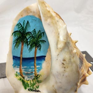 May include: A large, cream-coloured seashell with a painted tropical scene. The artwork depicts two palm trees, blue water, and a sandy shore under a blue sky. The word "CUBA" is painted at the bottom.