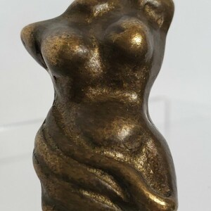 Peut inclure: Une sculpture de torse de couleur bronze, représentant le haut du corps d'une personne. La sculpture a une surface texturée et est détaillée avec des caractéristiques anatomiques. La pièce est placée sur un fond blanc uni.