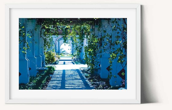 Vines Printable Vines Wall Art Vines Poster Vines Decor Vines | Etsy