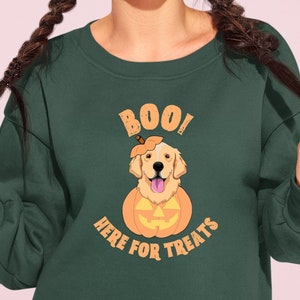 Boo Sweatshirt, Pumpkin Sweatshirt, Halloween Dog shirt, Cute halloween shirt, Dog Halloween Shirt, Halloween Crewneck, Halloween Sweatshirt