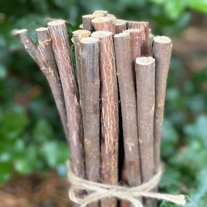 May include: A bundle of brown wooden sticks tied with twine. The sticks vary in length and diameter, with a natural, rustic look. The twine is wrapped around the base of the sticks, holding them together. The wood has a rough texture.