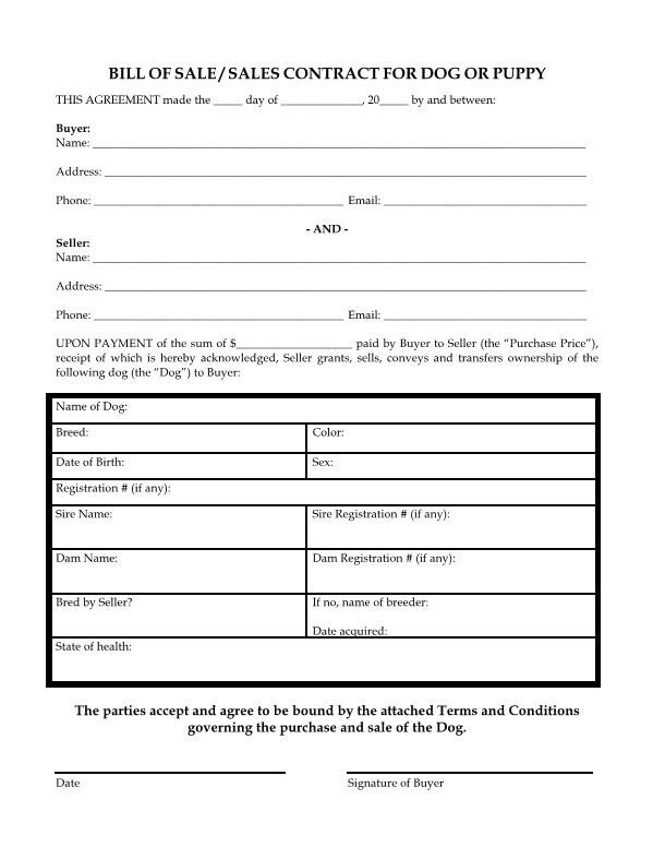 Puppy Contract Puppy Buyer Seller Agreement Puppy Bill of Sale Etsy