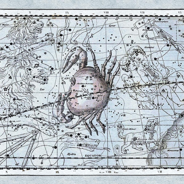 Map of the Heavens Cancer - the Crab by Alexander Jamieson as a Digital image Download