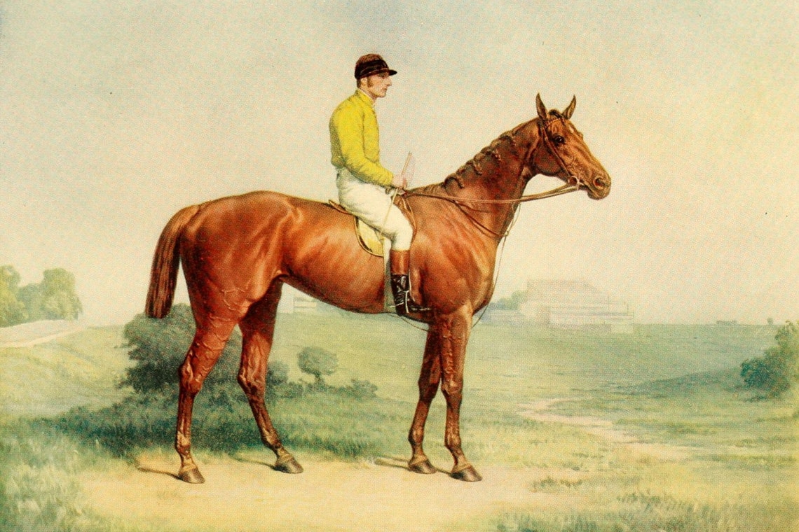 Horse Racing Shotover by W. Sextie Available as a Digital Image