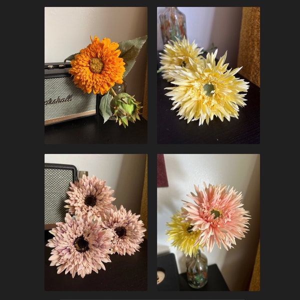 Gerbera jamesonii" Barberton Daisy" single flower, multi-color relistic flower