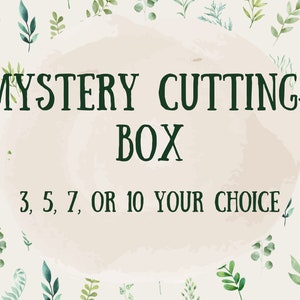 Mystery Cutting Box