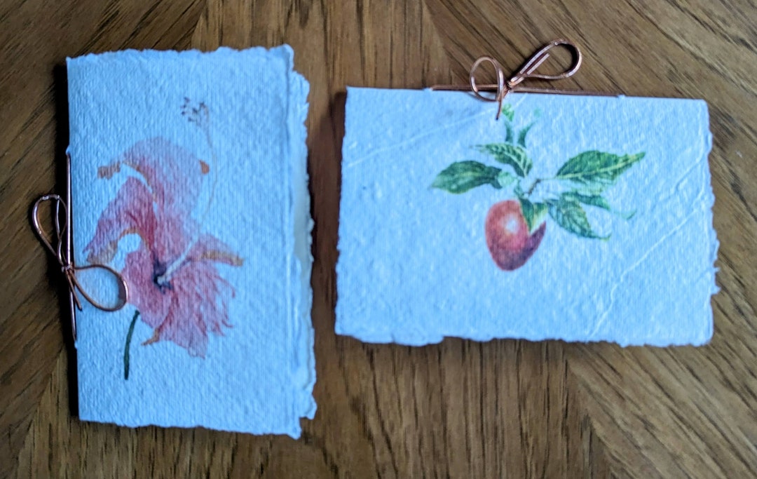 Blank Cards With Envelopes 4x6 Plant Collection Etsy