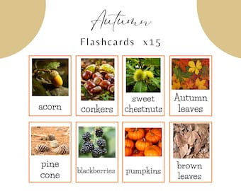 Autumn Flashcards