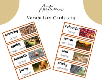 Autumn Vocabulary Cards Labels
