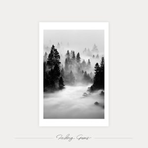 Landscape no. 4, Foggy Forest Trees, Misty Pine Forest, Moody Photonature, Black and White Unframed Print