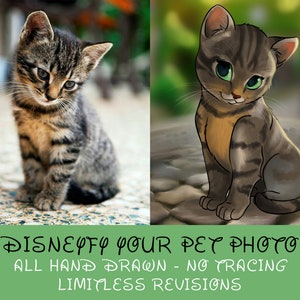 Cartoon Pet Portrait, Dog Cartoon, Disney Pet, Cat Cartoon, Pet Illustration, Pet Portrait, Pet Drawing, Custom Pet Cartoon, Pet Art Print